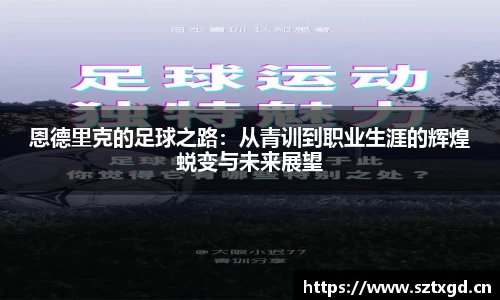 雷速体育在线