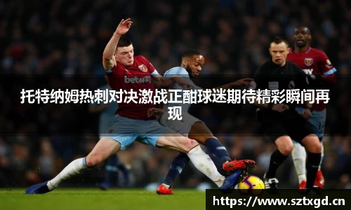 托特纳姆热刺对决激战正酣球迷期待精彩瞬间再现