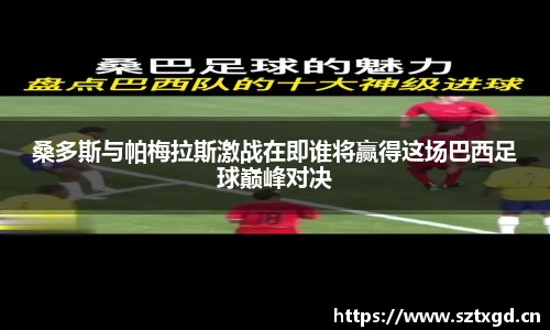 桑多斯与帕梅拉斯激战在即谁将赢得这场巴西足球巅峰对决