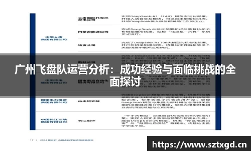 广州飞盘队运营分析：成功经验与面临挑战的全面探讨